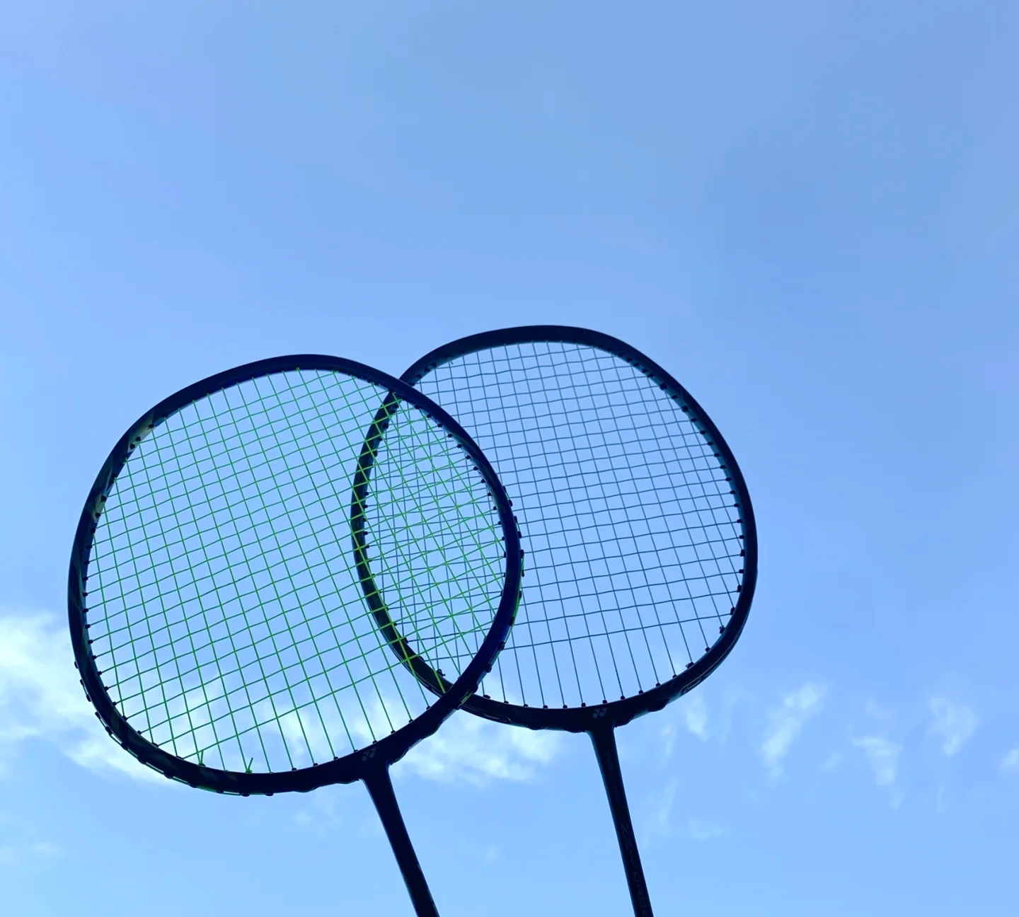 别的传切 别的传切